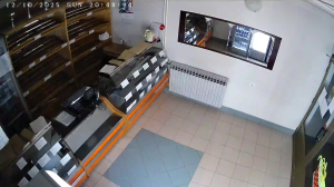 Caméra IP - Croatia