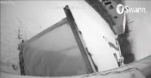 Caméra IP - United States of America