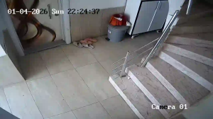 Caméra IP - Türkei