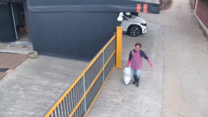 Caméra IP - Corea del Sud