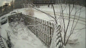 Caméra IP - Stati Uniti d'America