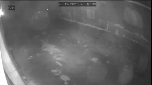 Caméra IP - Nueva Zelanda