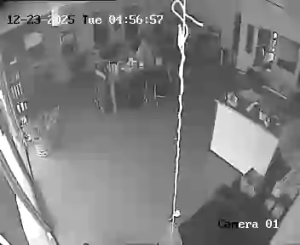 Caméra IP - Australia