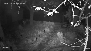 Caméra IP - Ukraine