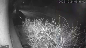 Caméra IP - Hongrie