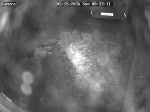 Caméra IP - Pays-Bas