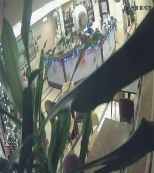 Caméra IP - Montenegro