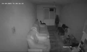 Caméra IP - Ukraine