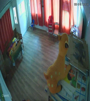 Caméra IP - Argelia