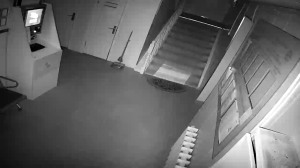 Caméra IP - Mongolia