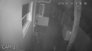 Caméra IP - United States of America