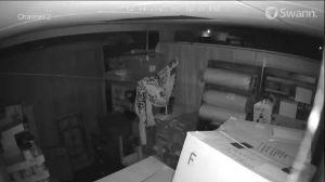 Caméra IP - Bermudes