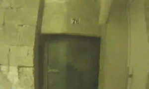 Caméra IP - Malta