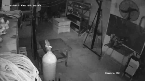 Caméra IP - Ukraine