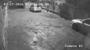 Caméra IP - Georgia