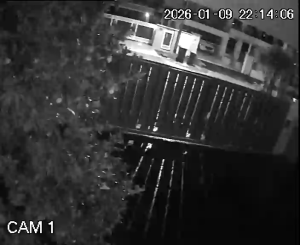 Caméra IP - Malaysia