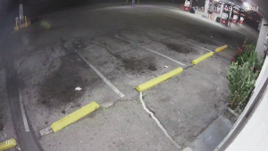 Caméra IP - États-Unis d'Amérique