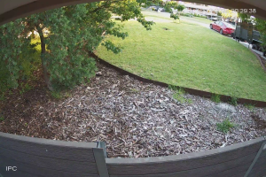 Caméra IP - Australien