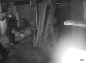 Caméra IP - Brasilien