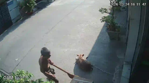 Caméra IP - Vietnam