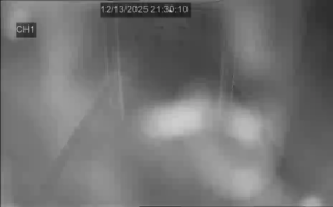 Caméra IP - Netherlands