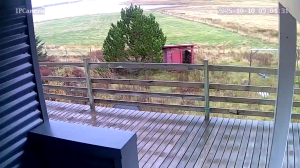 Caméra IP - Iceland