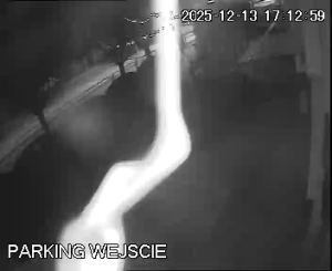 Caméra IP - Polonia