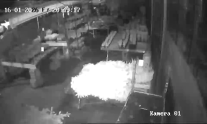 Caméra IP - Germany