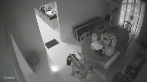 Caméra IP - Malaysia