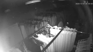 Caméra IP - Russian Federation