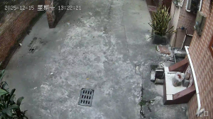 Caméra IP - People's Republic of China