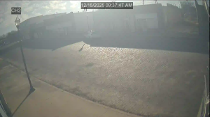 Caméra IP - Belgien