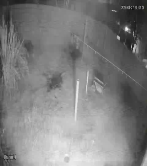 Caméra IP - Argentina