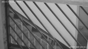 Caméra IP - Ucrania