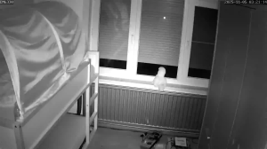 Caméra IP - Belgique