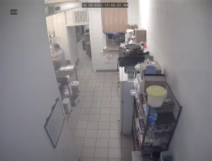 Caméra IP - États-Unis d'Amérique