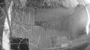 Caméra IP - Österrike