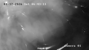 Caméra IP - Países Bajos