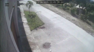 Caméra IP - Brésil