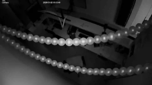 Caméra IP - Russische Föderation