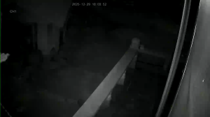 Caméra IP - Sydkorea