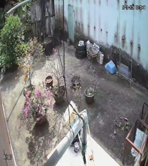 Caméra IP - Vietnam