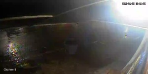 Caméra IP - Porto Rico