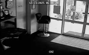 Caméra IP - Australien