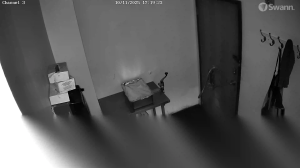 Caméra IP - Vereinigte Staaten von Amerika