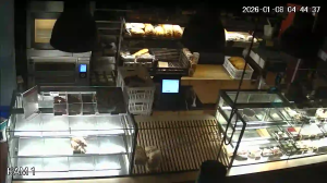 Caméra IP - Pologne