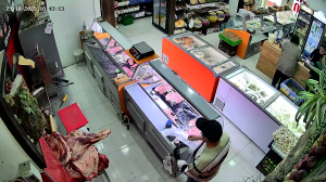 Caméra IP - Georgien