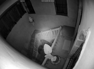 Caméra IP - Italien