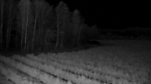 Caméra IP - Biélorussie