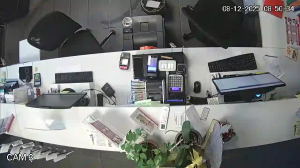 Caméra IP - Italien